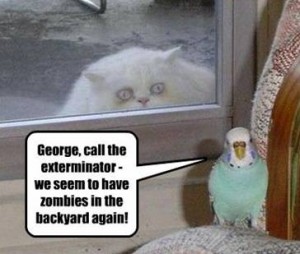 funnyanimalpic1