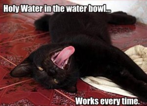 funnyanimalpic13