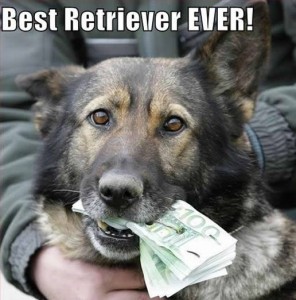 funnyanimalpic14