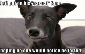 funnyanimalpic16