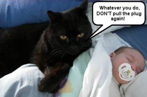 funnyanimalpic6