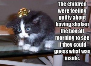funnyanimalpic7