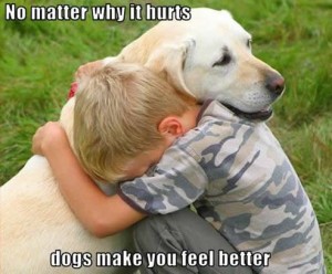 funnyanimalpic8